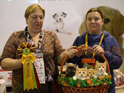    20-21  2014   6-126-169A1373 copy.jpg